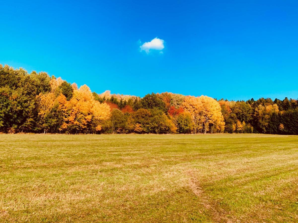 Bayerischer Wald - Balbersdorf Waffenbrunn Exterior photo