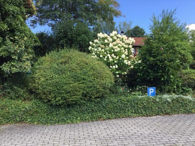 Bayerischer Wald - Balbersdorf Waffenbrunn Exterior photo